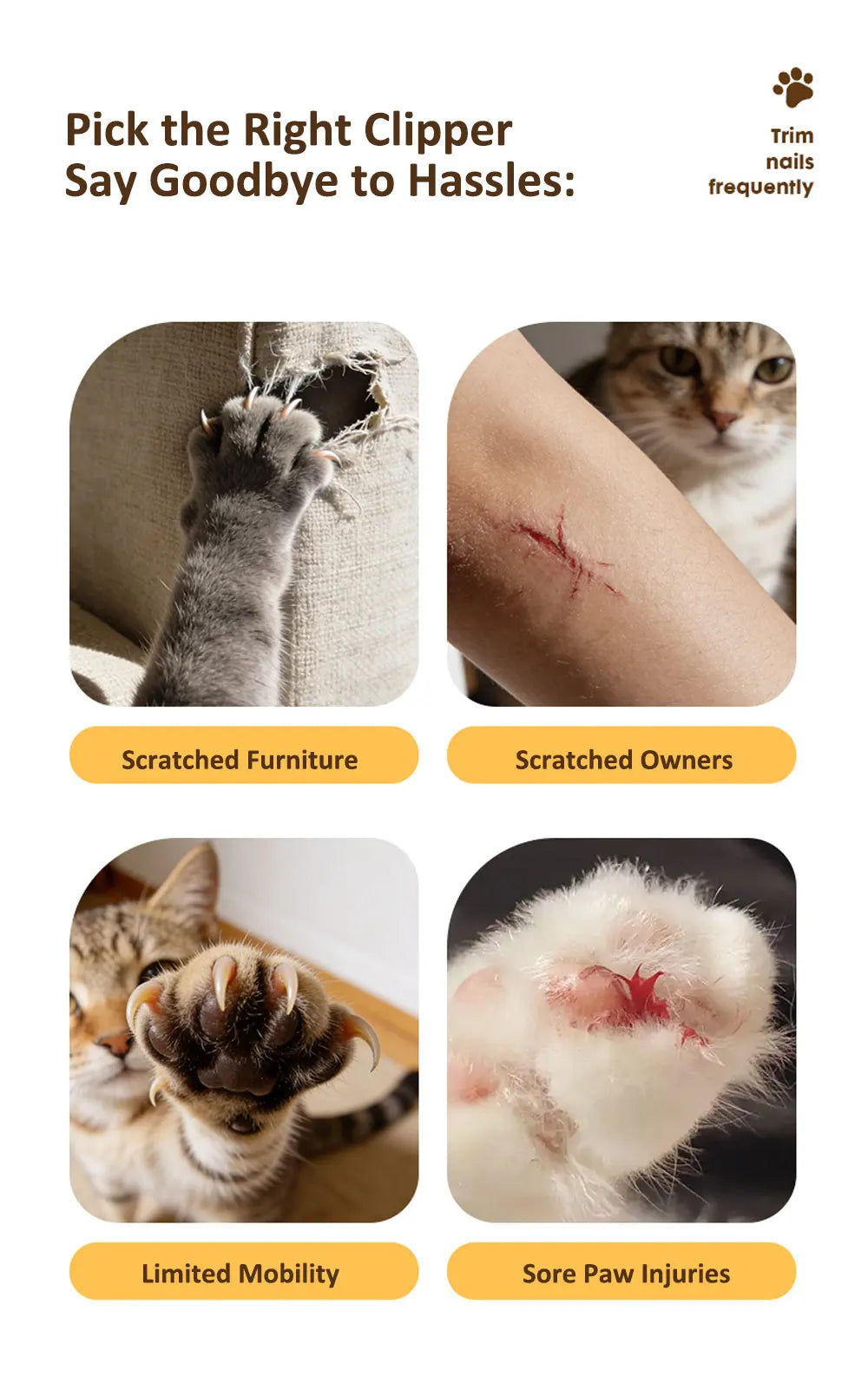 2 IN 1 Electric Professional Pet Nail Trimmer