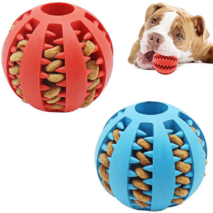 Dog Treat Dispensing Ball
