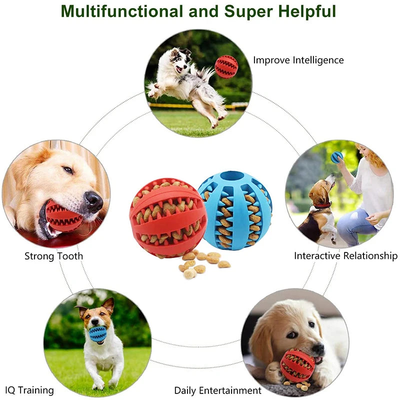 Dog Treat Dispensing Ball