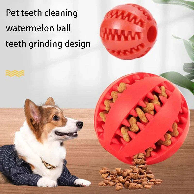 Dog Treat Dispensing Ball