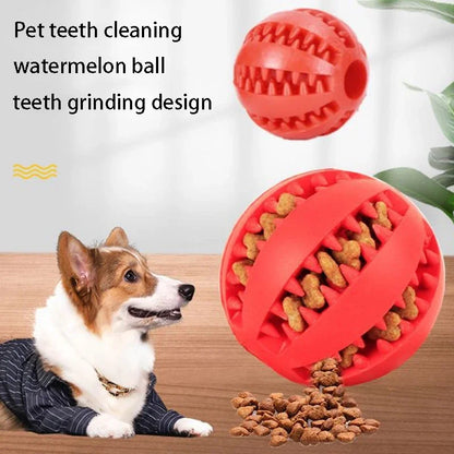 Dog Treat Dispensing Ball