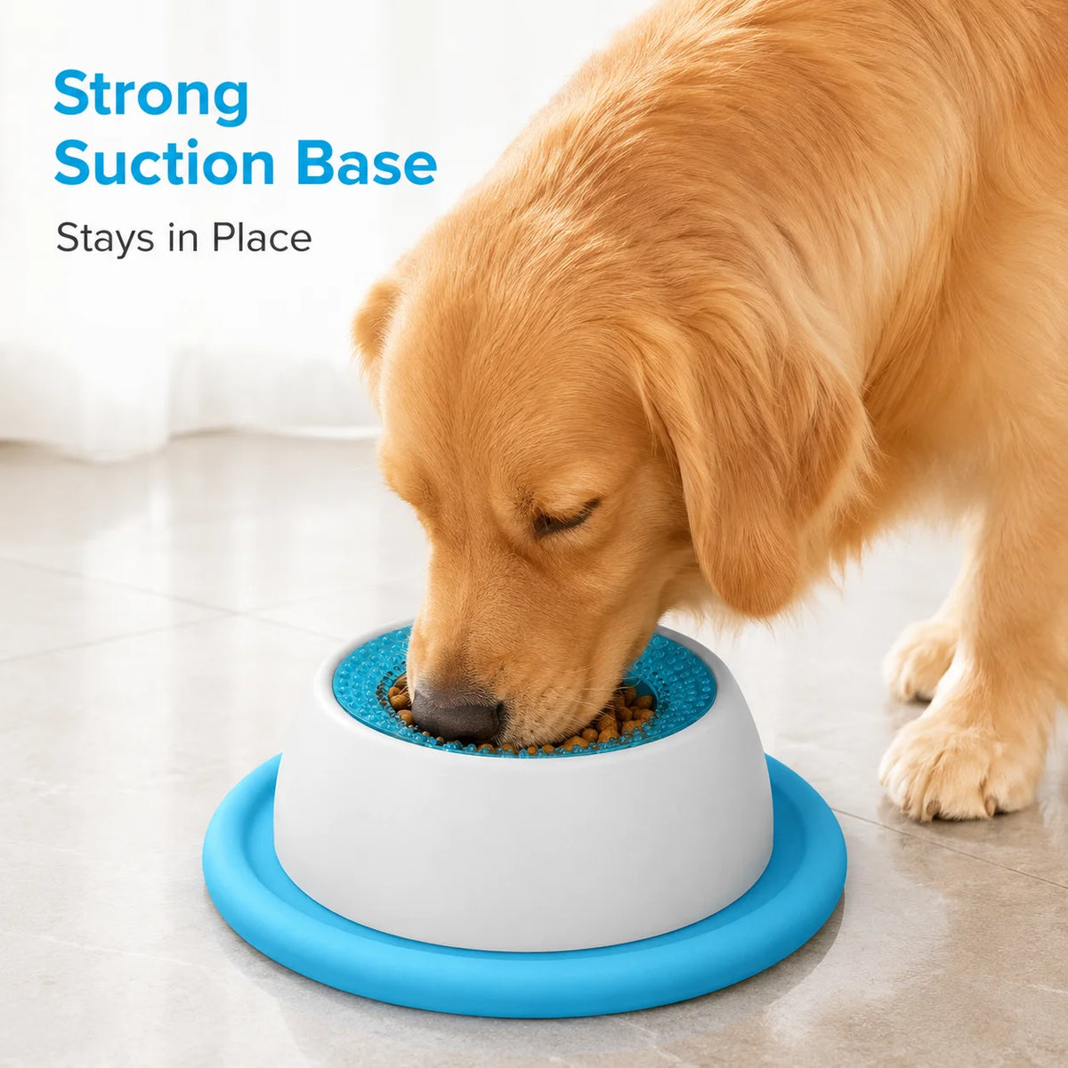 Cat Slow Feeder Bowl with Suction Base