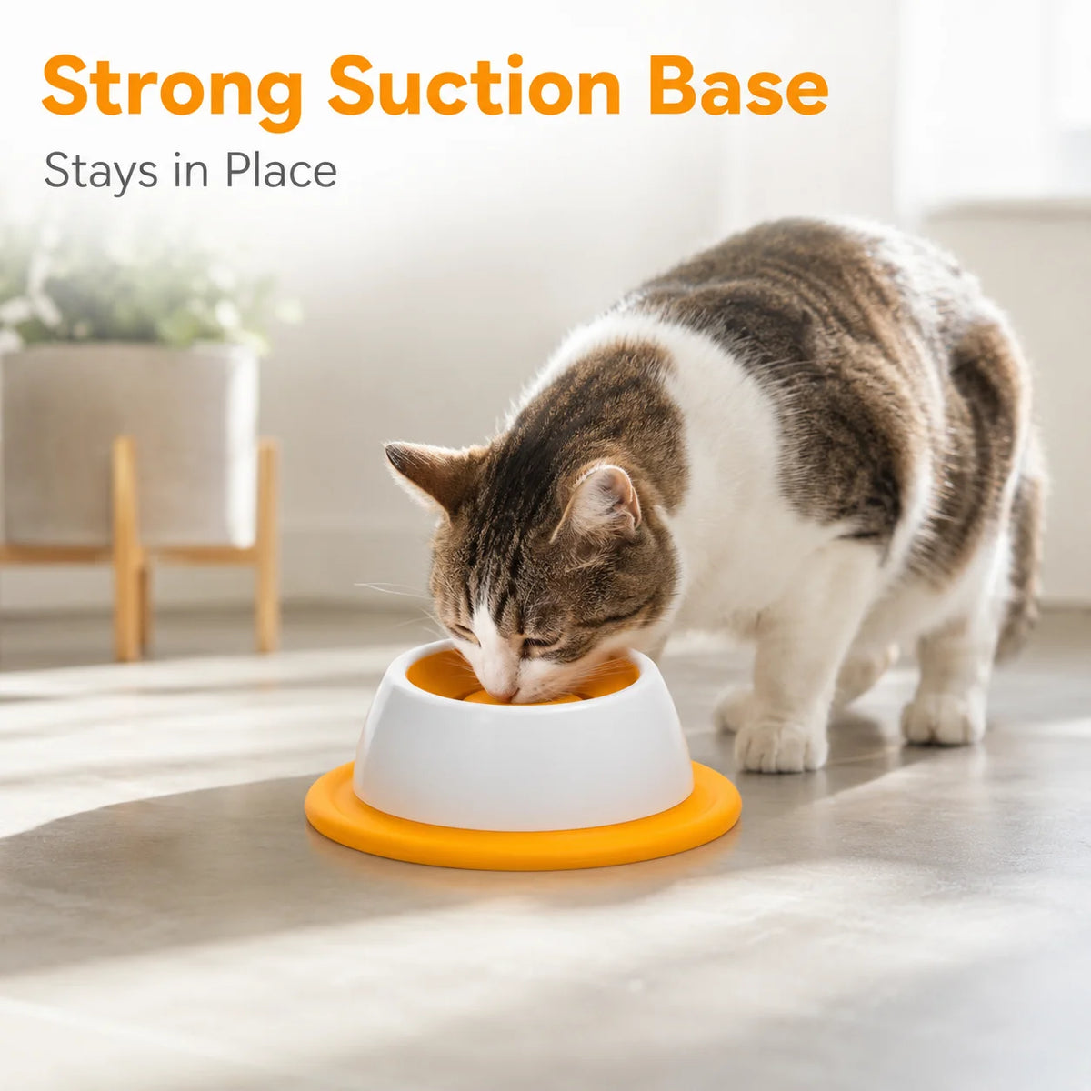 Cat Slow Feeder Bowl with Suction Base